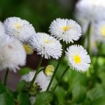 我干岳母 5vh40b2b