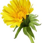 人与动物发生关系 kyhow9a5hz