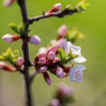 高清电视app 2m6i9i5d